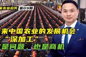未来中国农业的发展机会，一定是在深加工！这是问题，更是机会视频封面