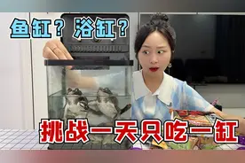 挑战一天只吃一缸，鱼缸里面养牛蛙？抓到什么就吃什么！视频封面