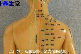 风门穴主治：发背痈疽，身热，上气喘气，咳逆胸背痛，风劳呕吐视频封面