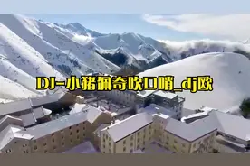 DJ-小猪佩奇吹口哨_dj欧