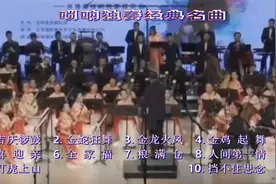 唢呐独奏经典名曲10首连播，表现热烈奔放场面和欢快情趣，很好听视频封面