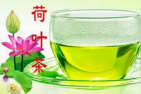 夏季养生茶-荷叶茶