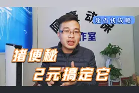 你的猪是否有便秘、排干粪球、不吃的情况？分享2块钱搞定的方法视频封面