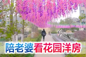 宜昌夫妻为了孩子买房，看到自己的梦中情房，放言要全款拿下视频封面