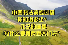 中国书法演变过程，你知道多少？孔子的画像为什么都有两颗大门牙视频封面