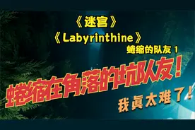 labyrinthine（迷宫）带领一个蜷缩在角落瑟瑟发抖的队友我太难了