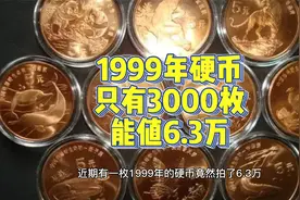 1999年的硬币拍了6.3万，只发行了3000枚，你有紫铜色的硬币吗视频封面