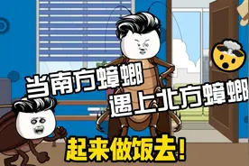 当北方蟑螂遇上南方蟑螂，你们北方几乎看不到蟑螂吗？视频封面
