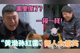 孙红雷和狗撞脸被黄渤吐槽，渤哥：简直一模一样，黄渤遇上孙红雷