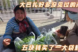 逛逛新疆汉人街大巴扎，两人逛得有点懵，语言不通交流全靠猜视频封面