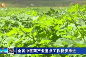 甘肃省中医药产业重点工作稳步推进视频封面