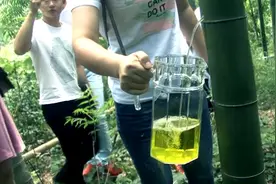火爆网络的“竹筒酒”是怎样生产的？今天才知道，完全是一场骗局