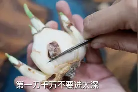 园艺师教你，新买回家的水仙花，怎么正确雕刻