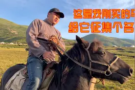 小伙重走长征路，到草原上买了匹马，1万块大家觉得值不值？视频封面