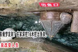 重庆老人靠做梦发财？在家深挖16米挖出鱼泉，凭借鱼泉改变人生视频封面