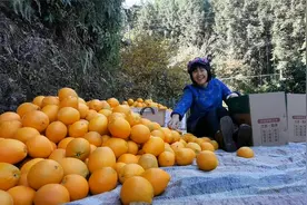 山秀子亲自挑选脐橙给网友，正宗的信丰脐橙，皮薄甜度高视频封面