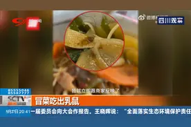 大学生点外卖“中大奖”，先吃出了根头发，后吃出了乳鼠！视频封面