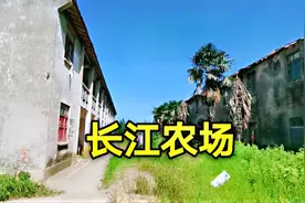 重返上海崇明岛上八大农场之一“长江农场”感受时代变迁视频封面
