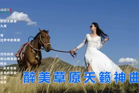 15首无损音质醉美草原天籁神曲视频封面