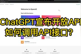 OpenAI宣布开放API,如何调用api接口？视频封面