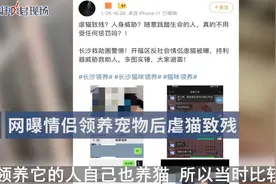 情侣领养宠物后虐猫致残视频封面