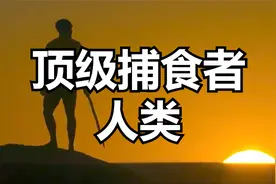 为什么说人类是动物界中的顶级捕食者？
