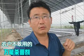 农户不敢用的万能杀菌剂，用好了，真菌细菌病毒都能防治