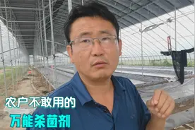 农户不敢用的万能杀菌剂，用好了，真菌细菌病毒都能防治