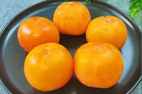 柿子还可以这样吃，教你一个好吃的新做法，酥香爽口，比柿饼好吃