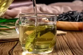 今日份养生知识礼包请查收！关于苦丁茶的功效与作用及禁忌！视频封面