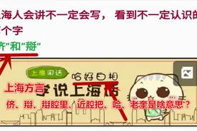 上海方言：侪、搿、老奎、搿腔里、近腔把、哈好白相是啥意思？