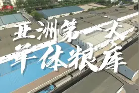 粮仓里的中国丨藏粮于技视频封面