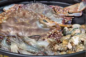 一碗酱汁就能搞定的海鲜焖锅，在家做超简单，鲜香入味很下饭哦！