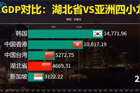GDP对比：湖北省VS亚洲四小龙：湖北与四小龙之间的差距有多大？视频封面