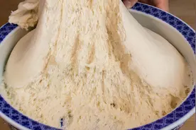 夏天发面10人有9个错，教你正确发面技巧，包子松软好吃不塌陷视频封面