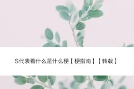 S代表着什么是什么梗【梗指南】【转载】