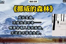 《挪威的森林》：动人心弦的、平缓舒雅的、略带感伤的恋爱小说。视频封面
