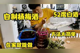 吃不完的杨梅不要扔，拿52度白酒泡一桶，喝杨梅酒比吃药还管用视频封面