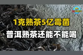 一克熟茶五亿霉菌，喝熟茶等于喝脏水？普洱茶到底还能不能喝？视频封面