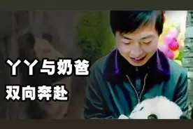 丫丫与奶爸的双向奔赴，见面后掩面痛哭，丫丫在美国20年流产4次视频封面