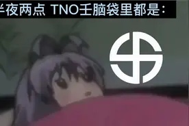 【TNO】凌晨两点，TNO玩家的脑袋里都是...视频封面