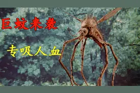 这只蚊子太狠了，体重180斤，一口就可以吸干一人血液！视频封面