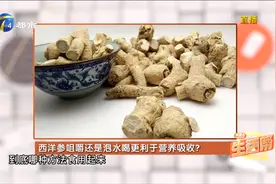 西洋参咀嚼含服最有利于吸收！听听专家给您讲解原因视频封面
