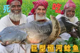 冒死吃恒河巨型鲶鱼，近300岁的三兄弟，竟发现了感人的终极美味视频封面