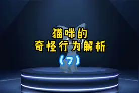 猫咪为什么喜欢在家里到处跟着你走？为什么讨厌我们把门关起来？视频封面