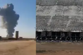 美国得州奶牛厂爆炸：蘑菇云数公里外可见 造成至少18000头牛死亡视频封面