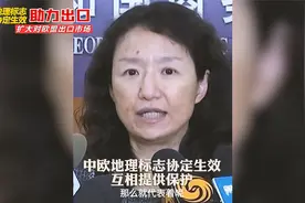 中欧地理标志协定生效，提升产品的欧盟市场知名度，互相提供保护