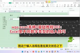wps excel表格0基础教程003：Excel里不同数字类型的输入技巧视频封面
