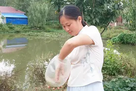 菩萨鱼生命力真强，4个月不吃不喝还活着，小菲决定把鱼放生视频封面
