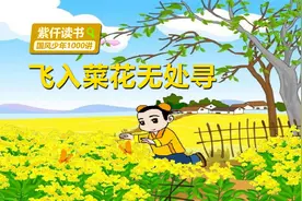 春天就在眼里：“儿童急走追黄蝶，飞入菜花无处寻”视频封面